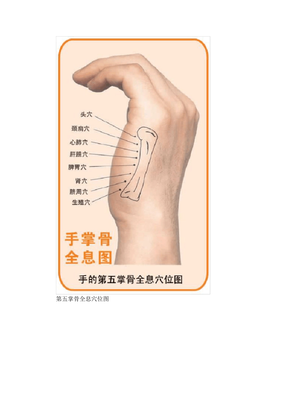 人体全息穴位图32张_第3页