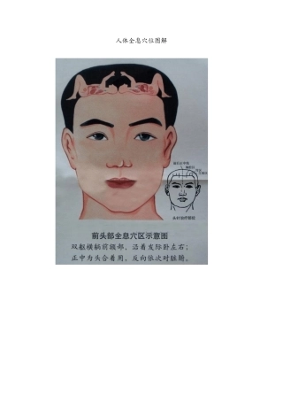 人体全息穴位图解