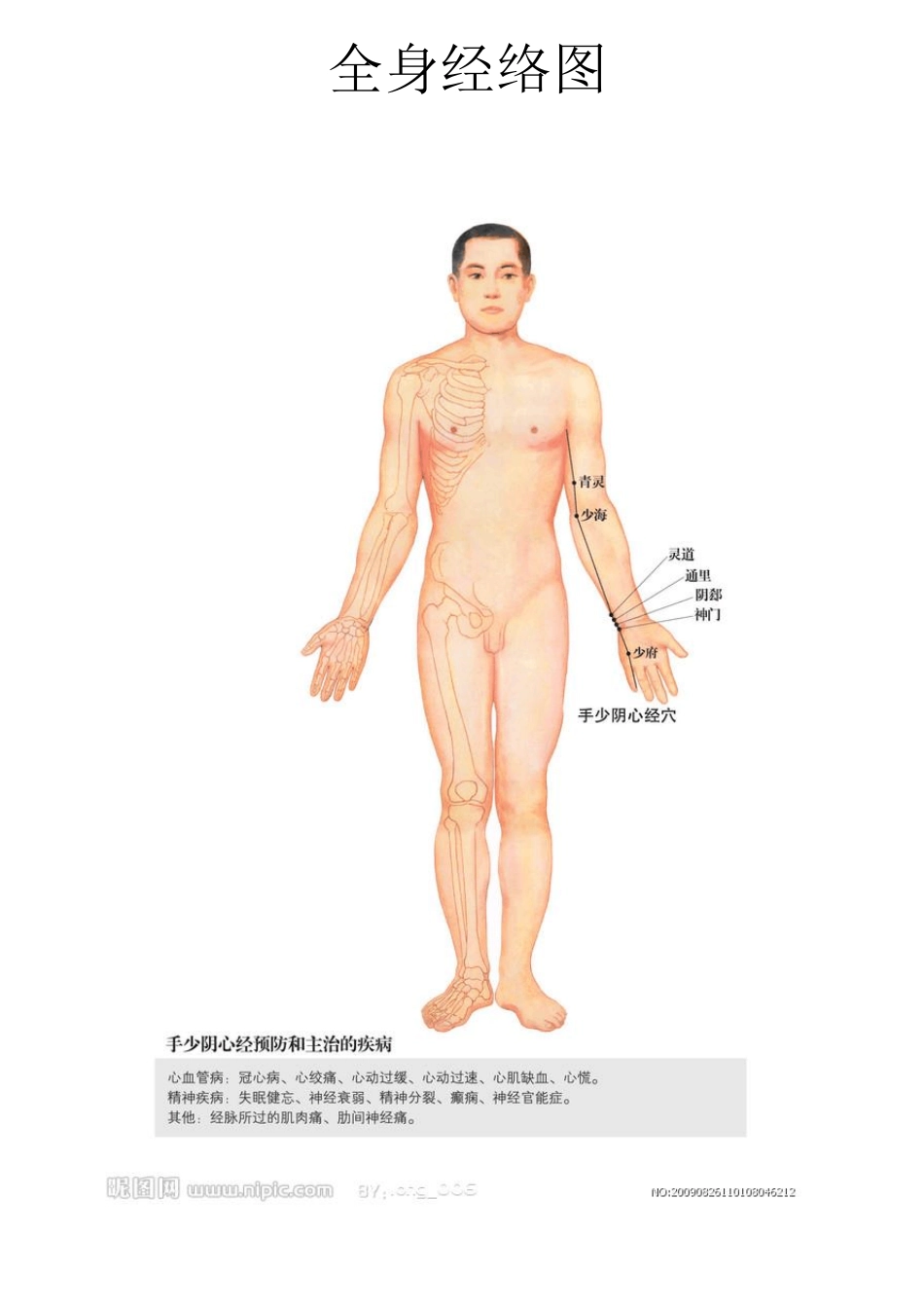人体全身经络示范图_第2页