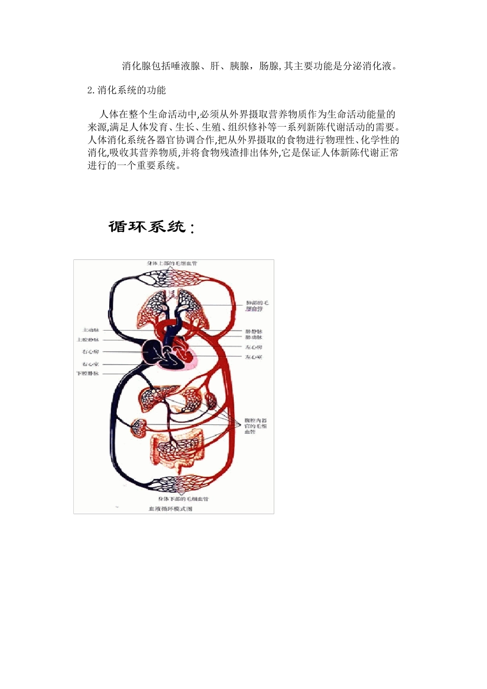 人体八大系统大全_第3页