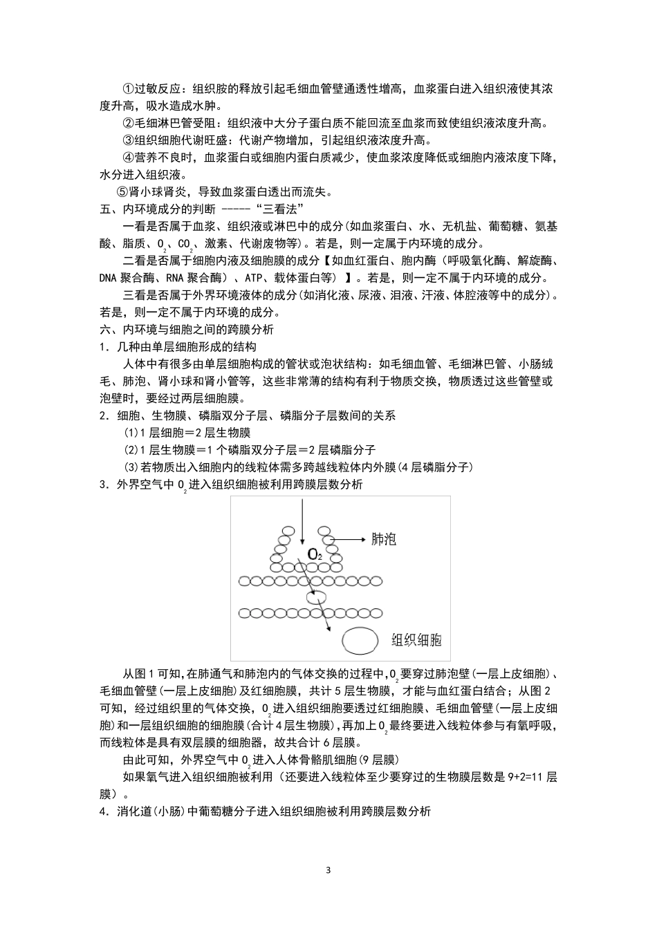 人体内环境的稳态与调节(知识点笔记)_第3页