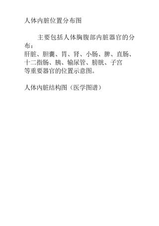 人体内脏位置分布图人体内脏图分布位置