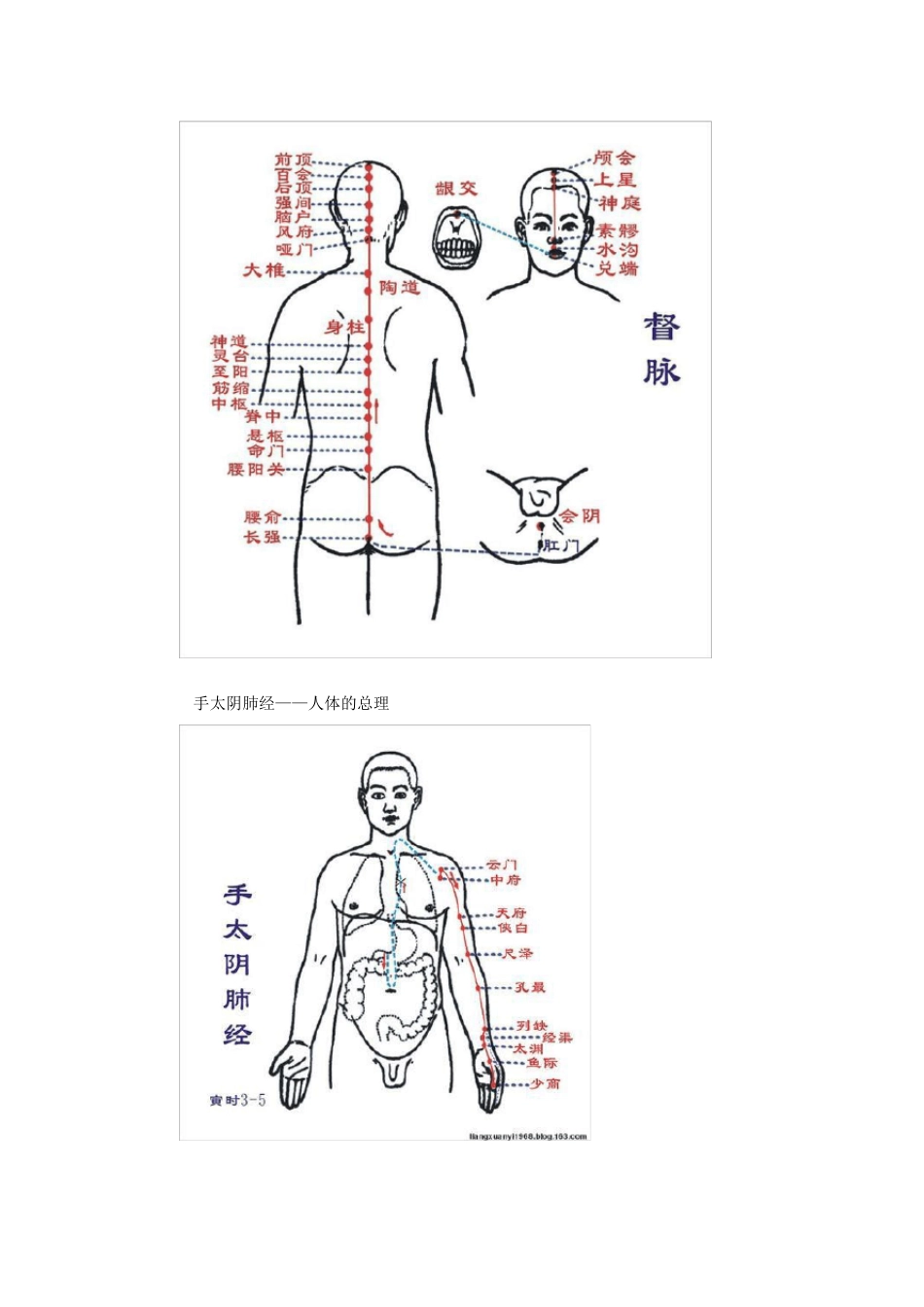 人体十二经络详解_第3页