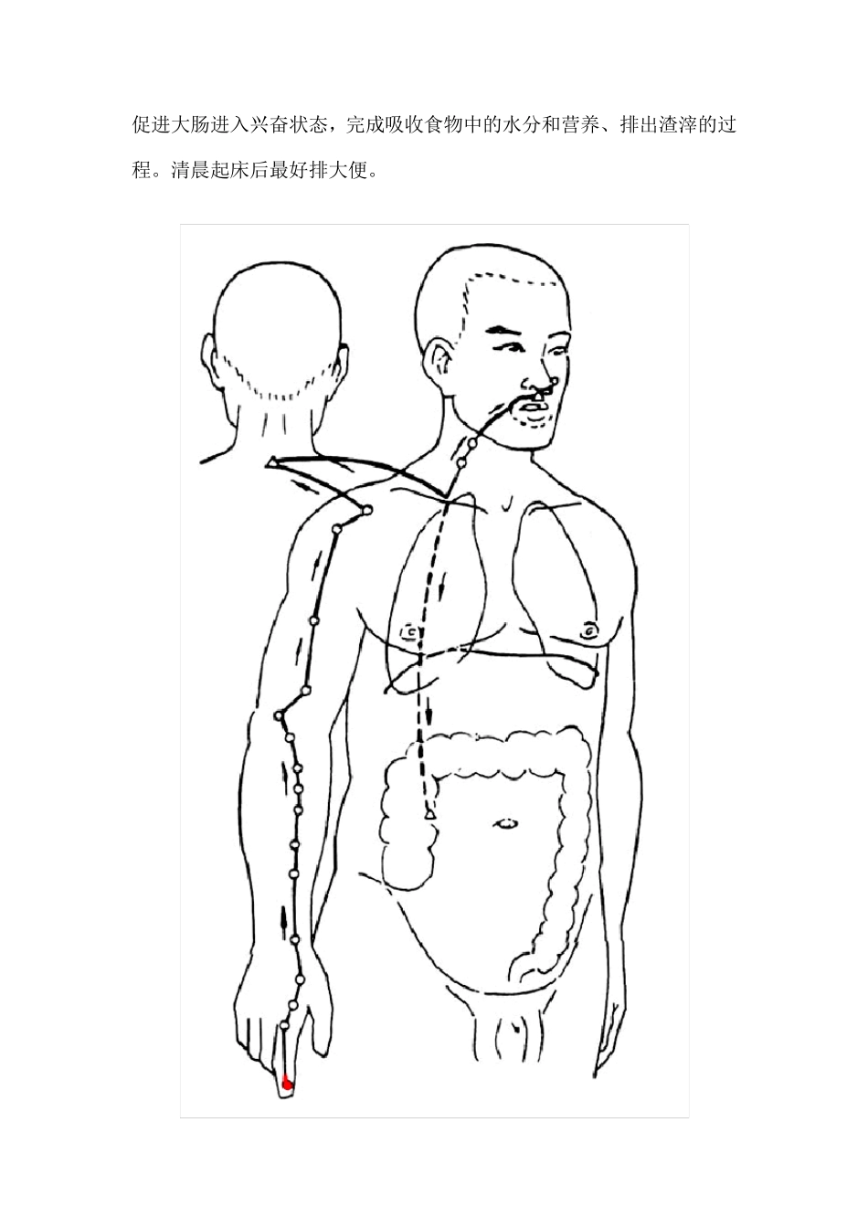 人体十二经脉行运图_第3页