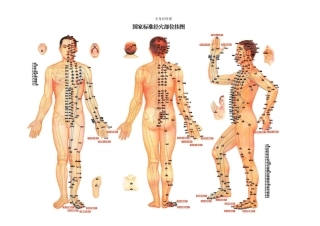 人体各反射区详图集中