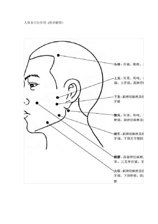 人体各穴位作用(附详解图)