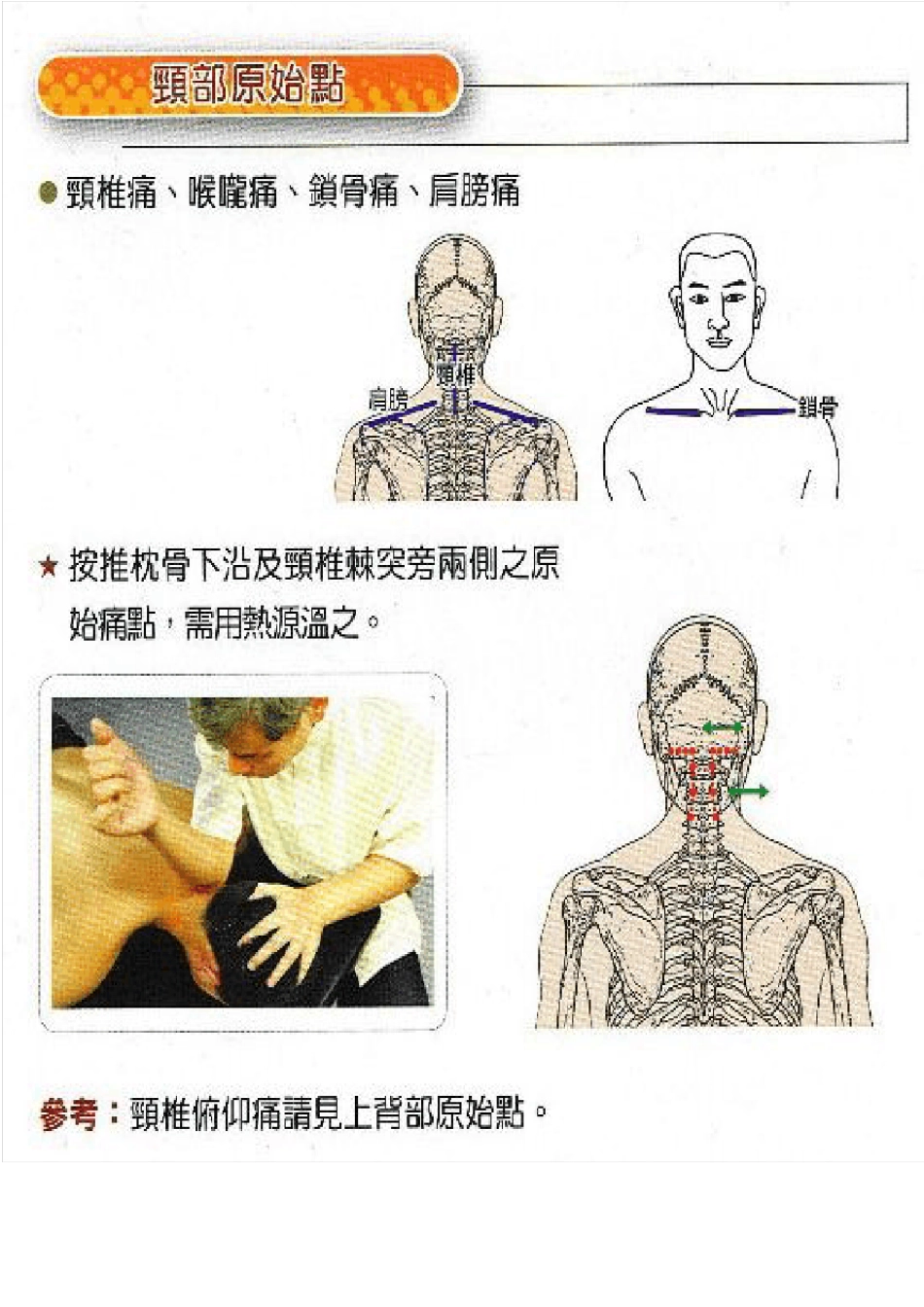 人体各部位名称及手法图_第3页