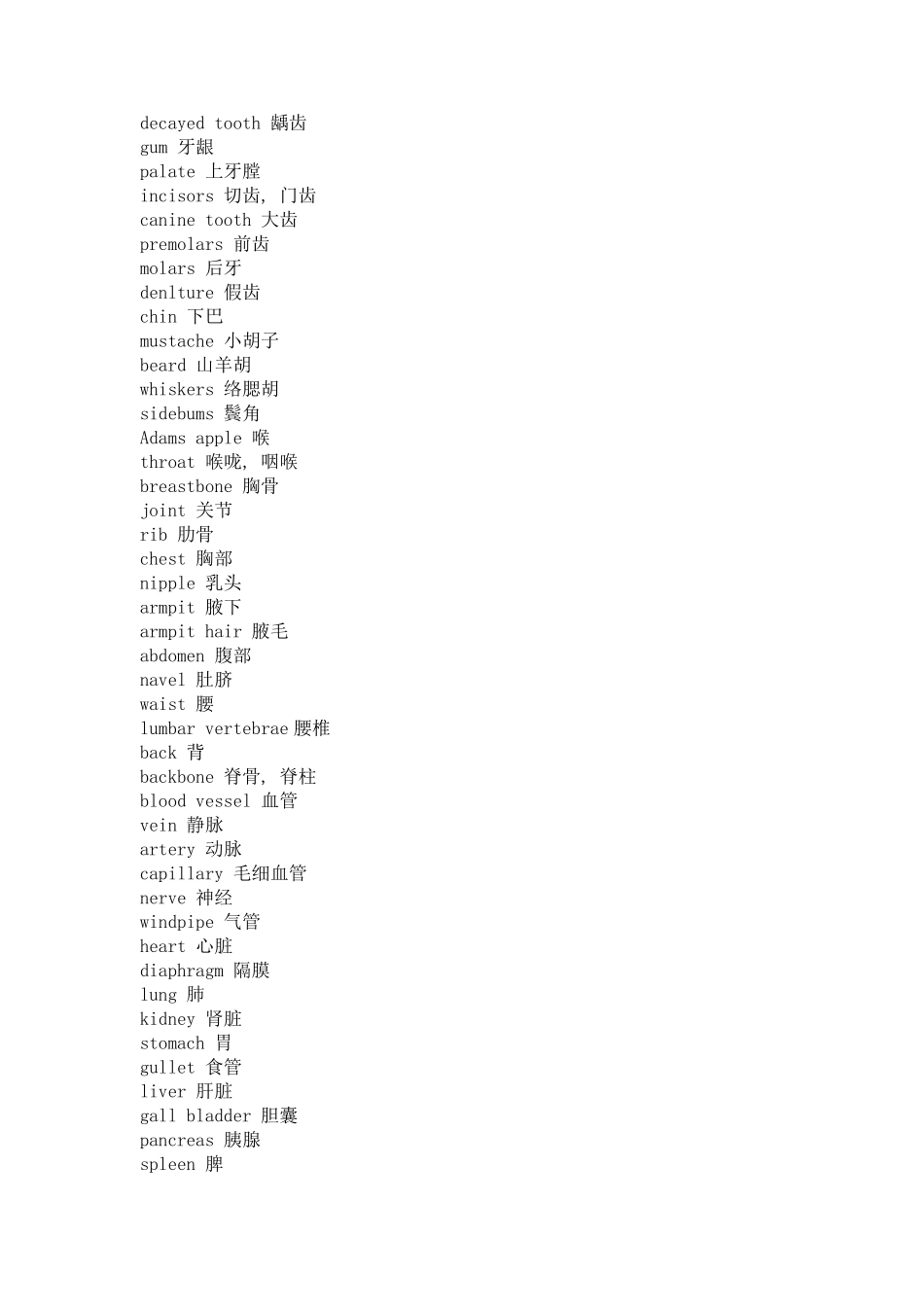 人体器官英文版配图_第2页
