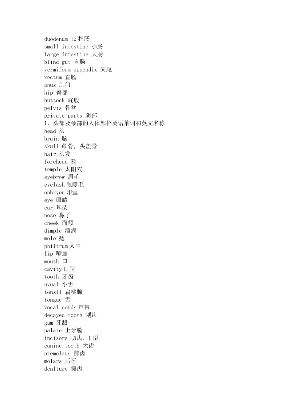 人体器官英文版配图_第3页