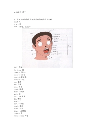 人体器官英文版配图