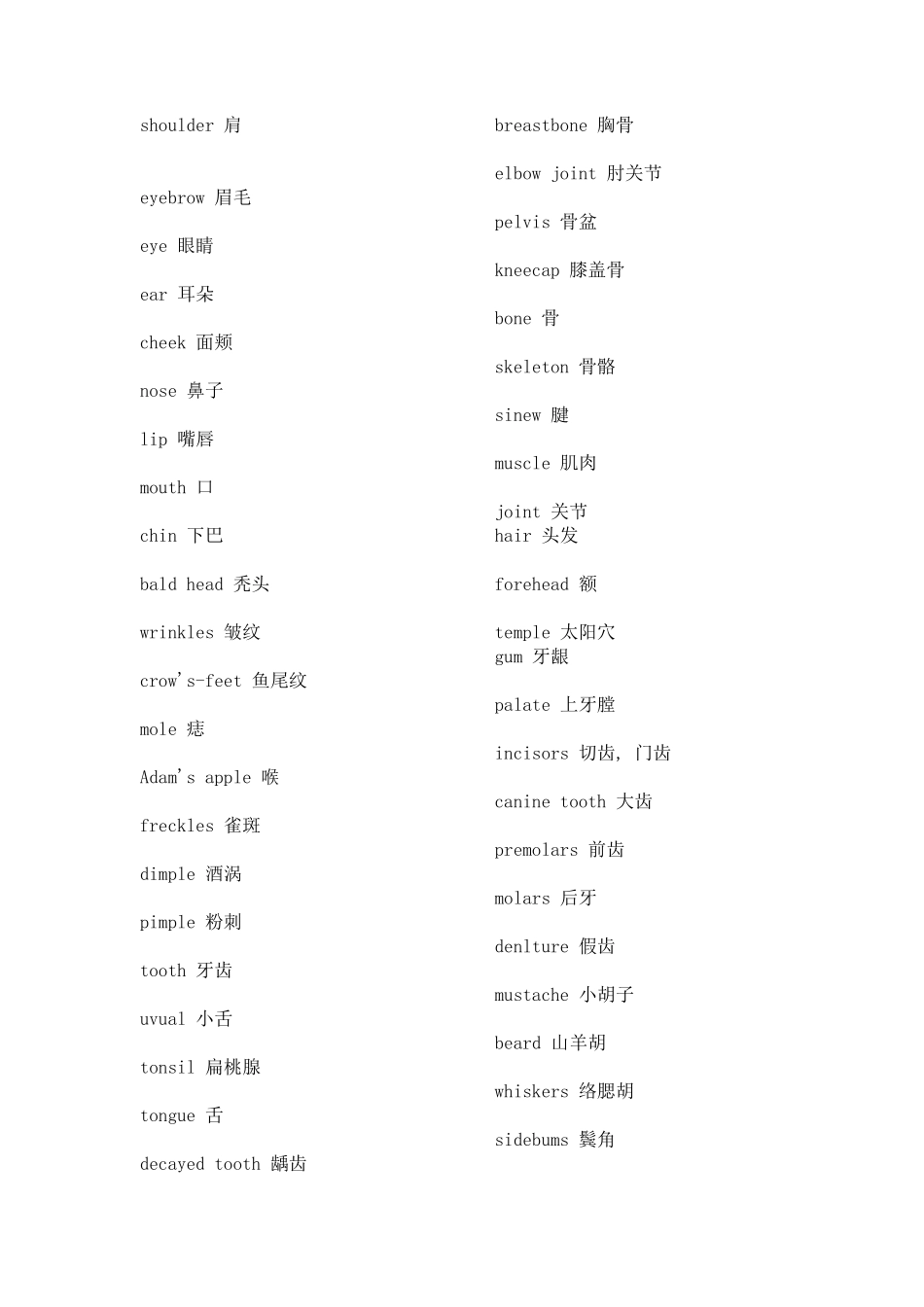 人体器官英语名称_第3页