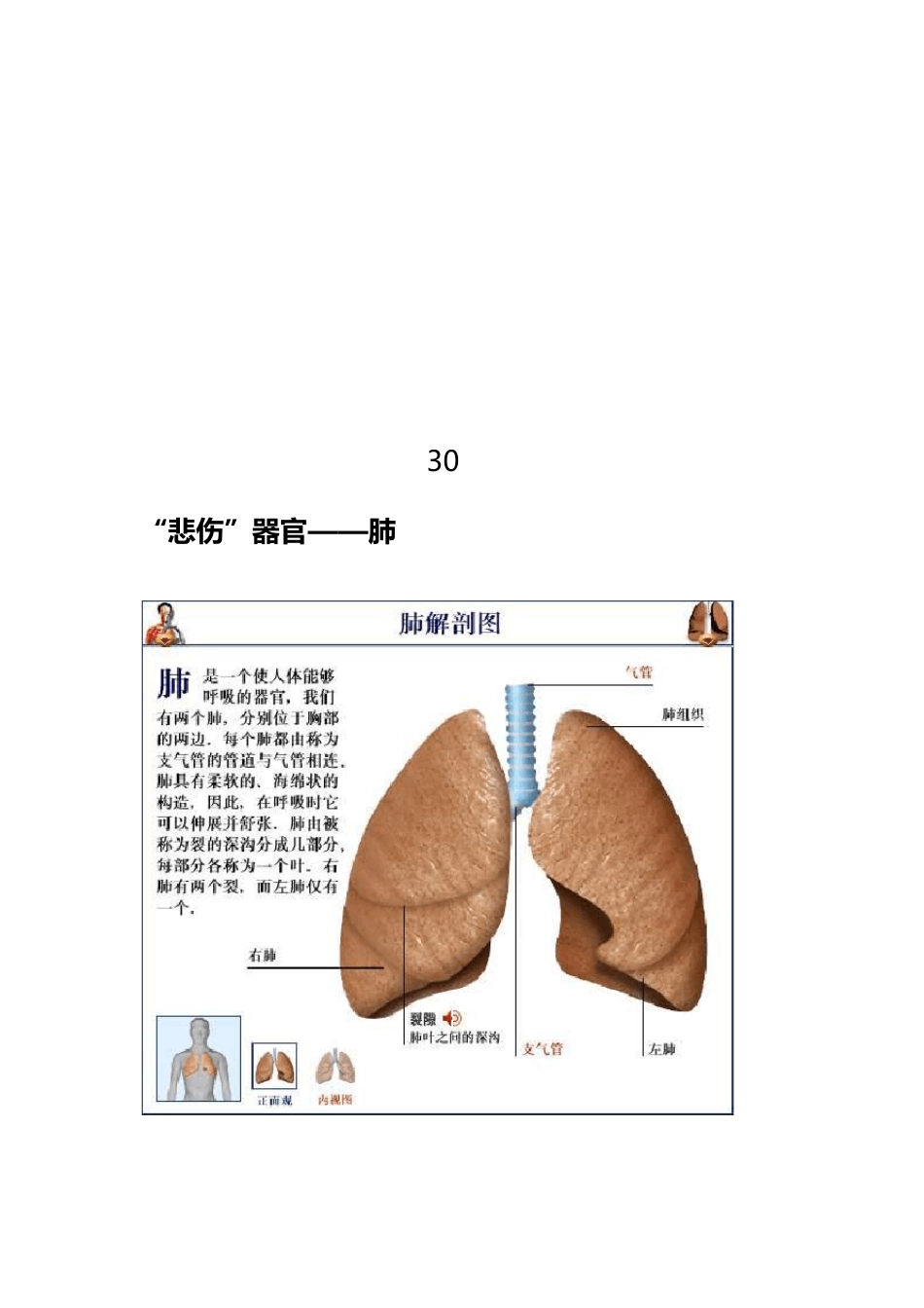 人体奥秘：内脏也有自己的性格_第3页