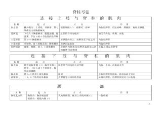 人体弓弦力学系统(脊柱、上肢、下肢、关节囊)