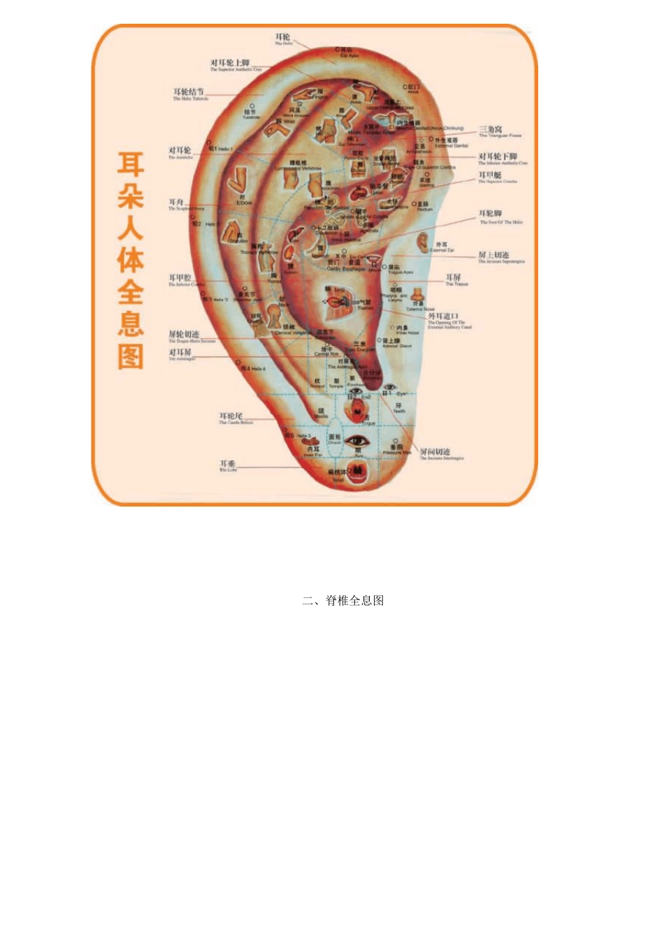 人体按摩穴位示意图(美女演示版)(图解穴位实用强身治病)_第3页