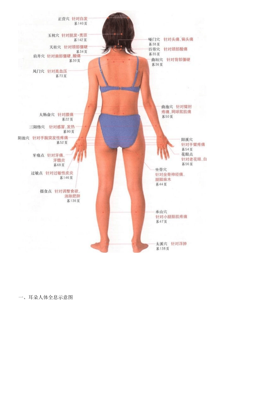 人体按摩穴位示意图(美女演示版)_第2页