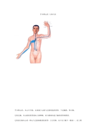 人体穴位之手少阴心经