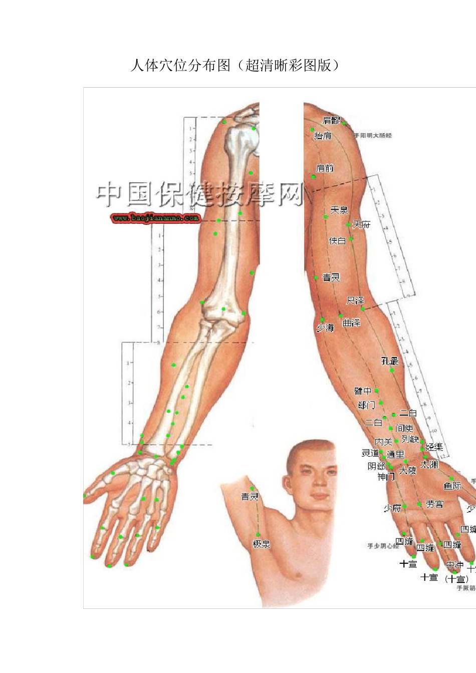 人体穴位分布图(超清晰彩图版)_第1页