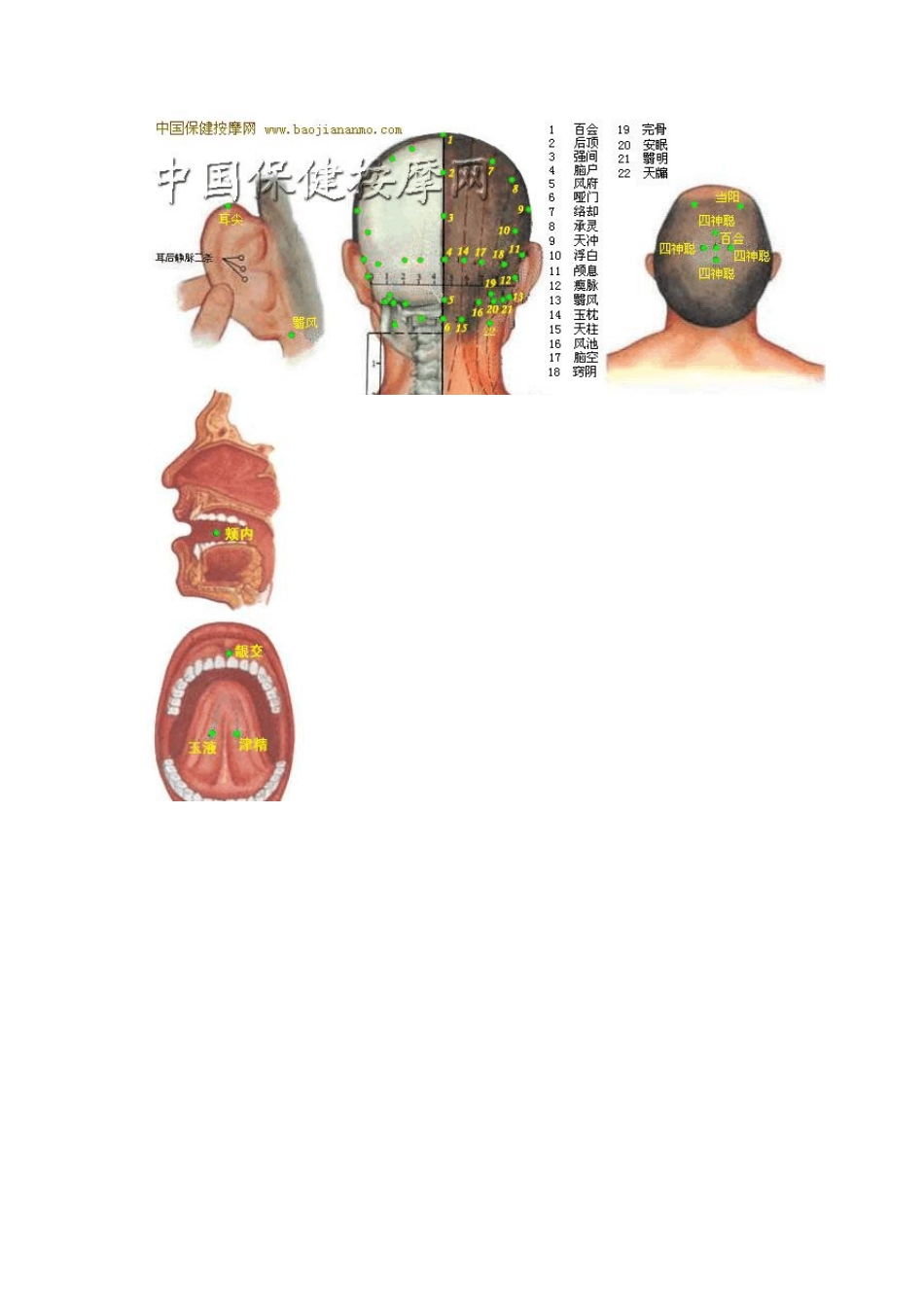 人体穴位分布图(高清彩图)_第2页