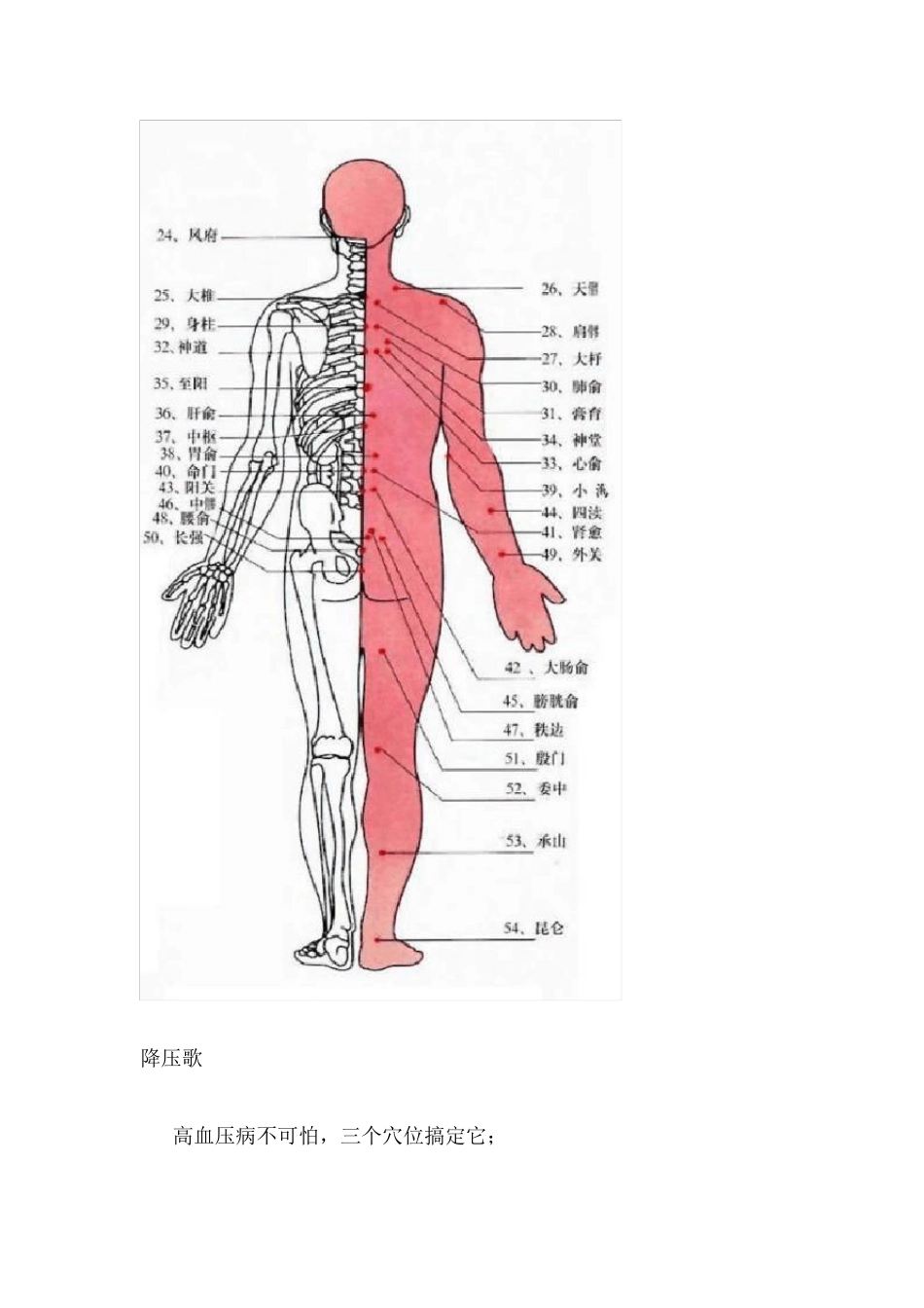 人体穴位及相关疾病特效穴歌(附图)_第2页