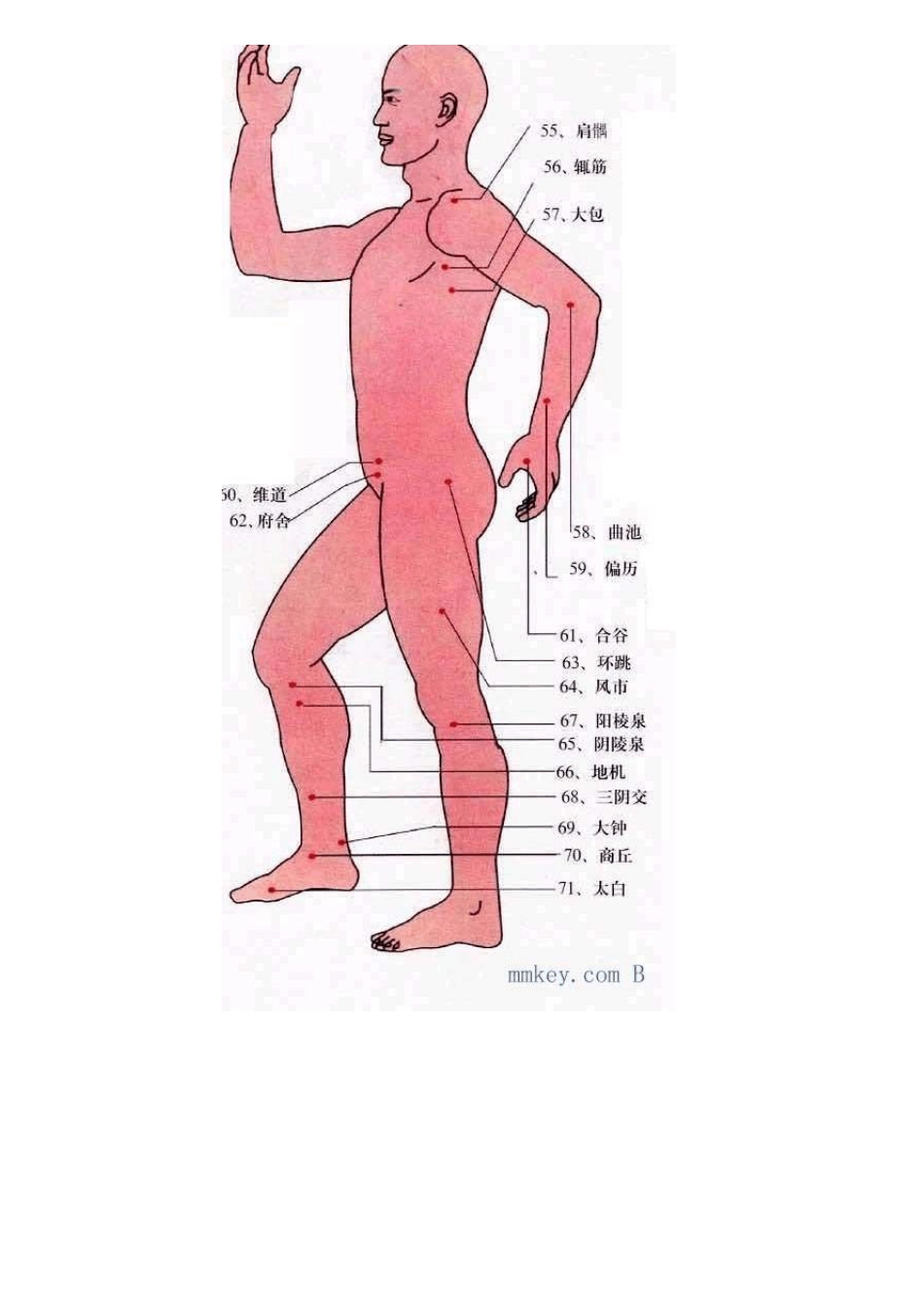 人体穴位图(图解+说明)_第2页