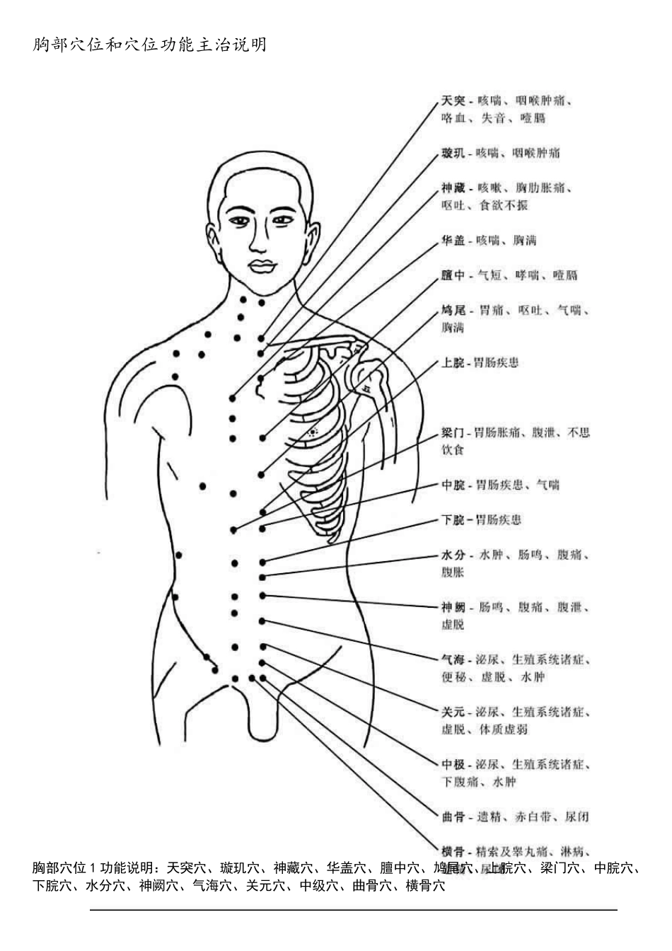 人体穴位图(带穴位功能主治说明)_第3页