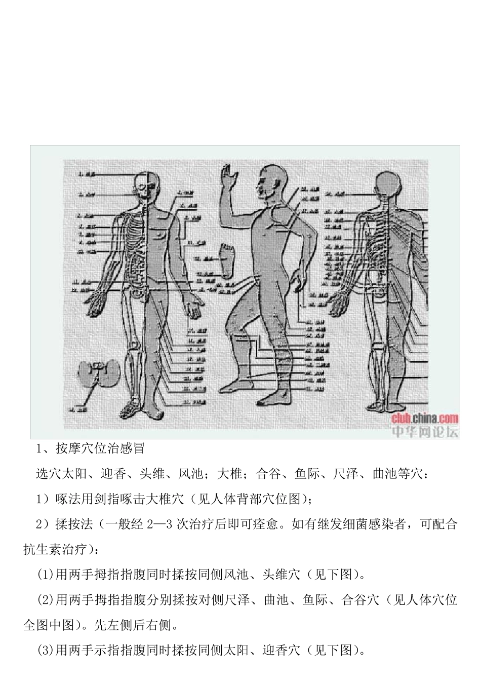 人体穴位图及保健按摩方法_第2页