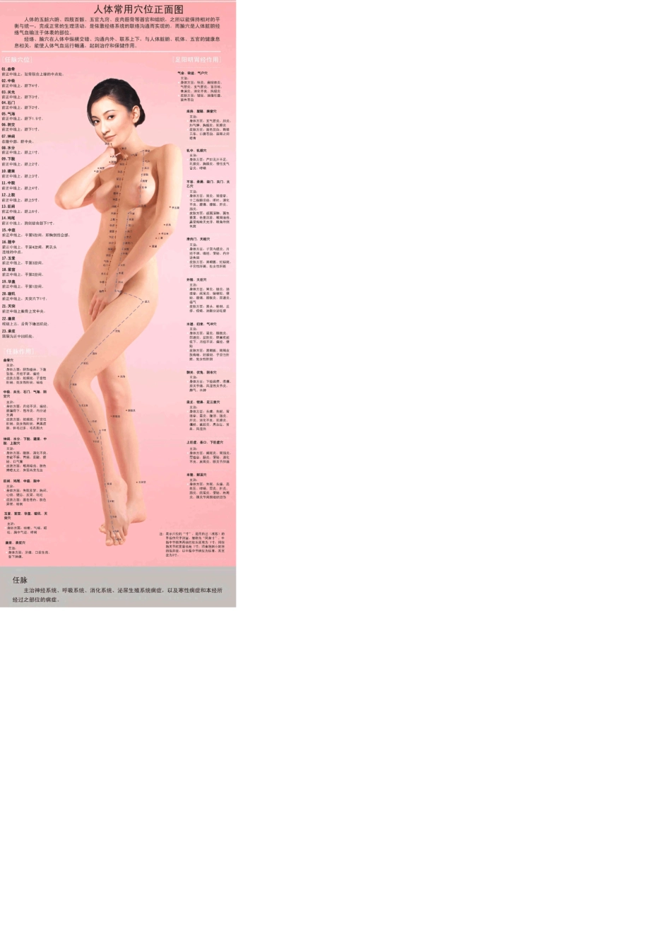 人体穴位经络大图_第1页