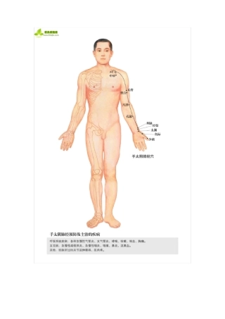 人体经络图解(十二经络+任脉督脉)