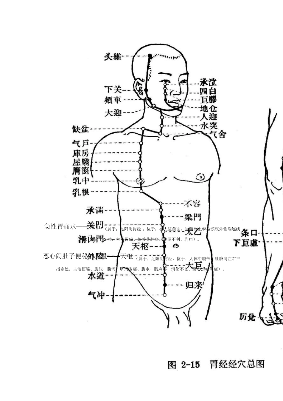 人体经络救命穴位_第2页