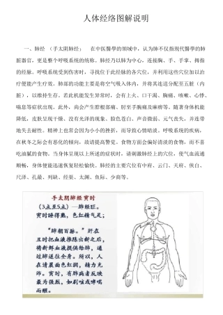 人体经络图解说明