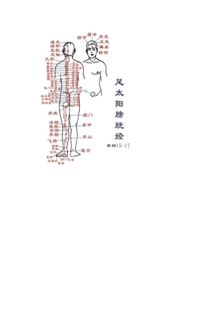 人体经络清晰全图
