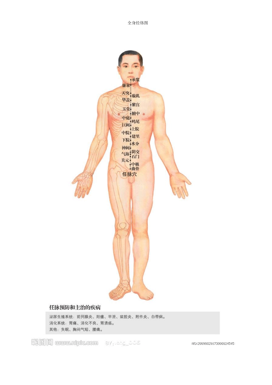 人体经络彩图大全_第3页