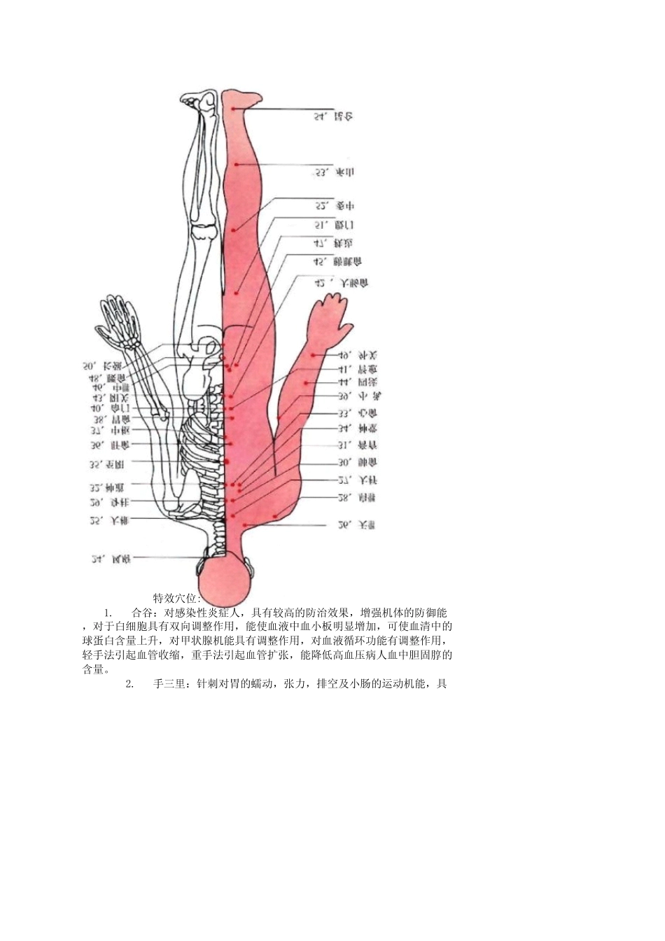 人体经络穴位与治疗(图文)_第2页