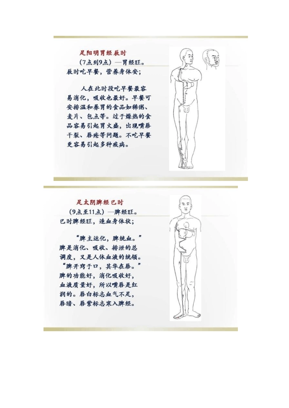 人体经络时辰图解表_第2页