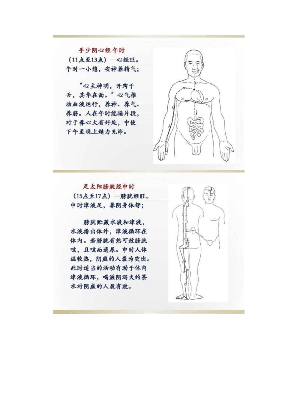 人体经络时辰图解表_第3页