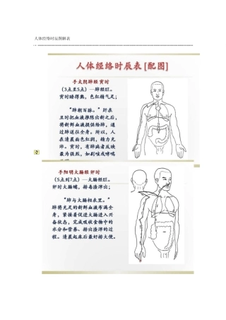 人体经络时辰图解表