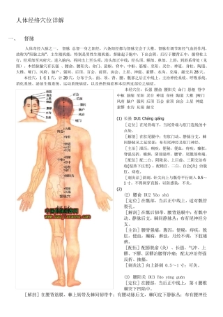 人体经络穴位详解