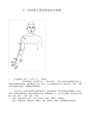 人体经络穴位走向