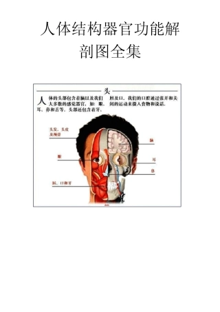 人体结构器官功能解剖图全集