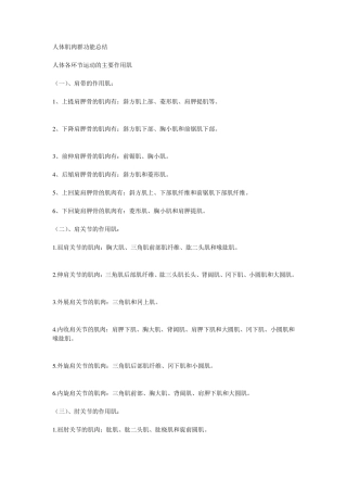 人体肌肉群功能总结