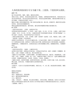 人体肌肉起止点