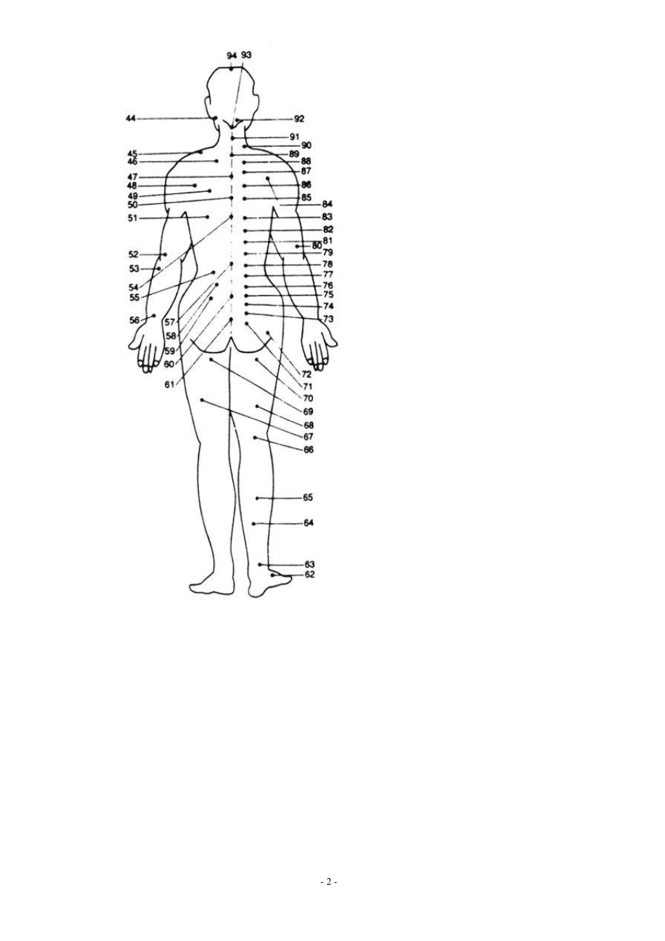人体背部拔罐穴位图_第2页