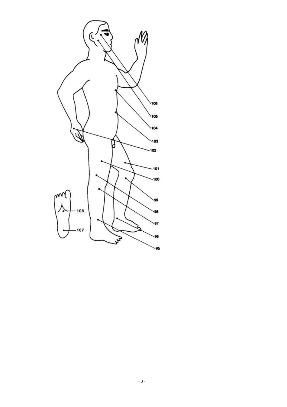 人体背部拔罐穴位图_第3页