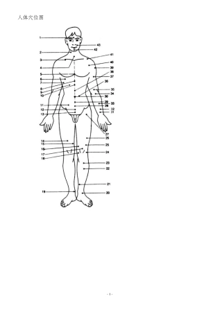 人体背部拔罐穴位图