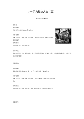 人体肌肉锻炼大全