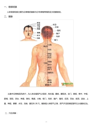 人体背部经脉穴位