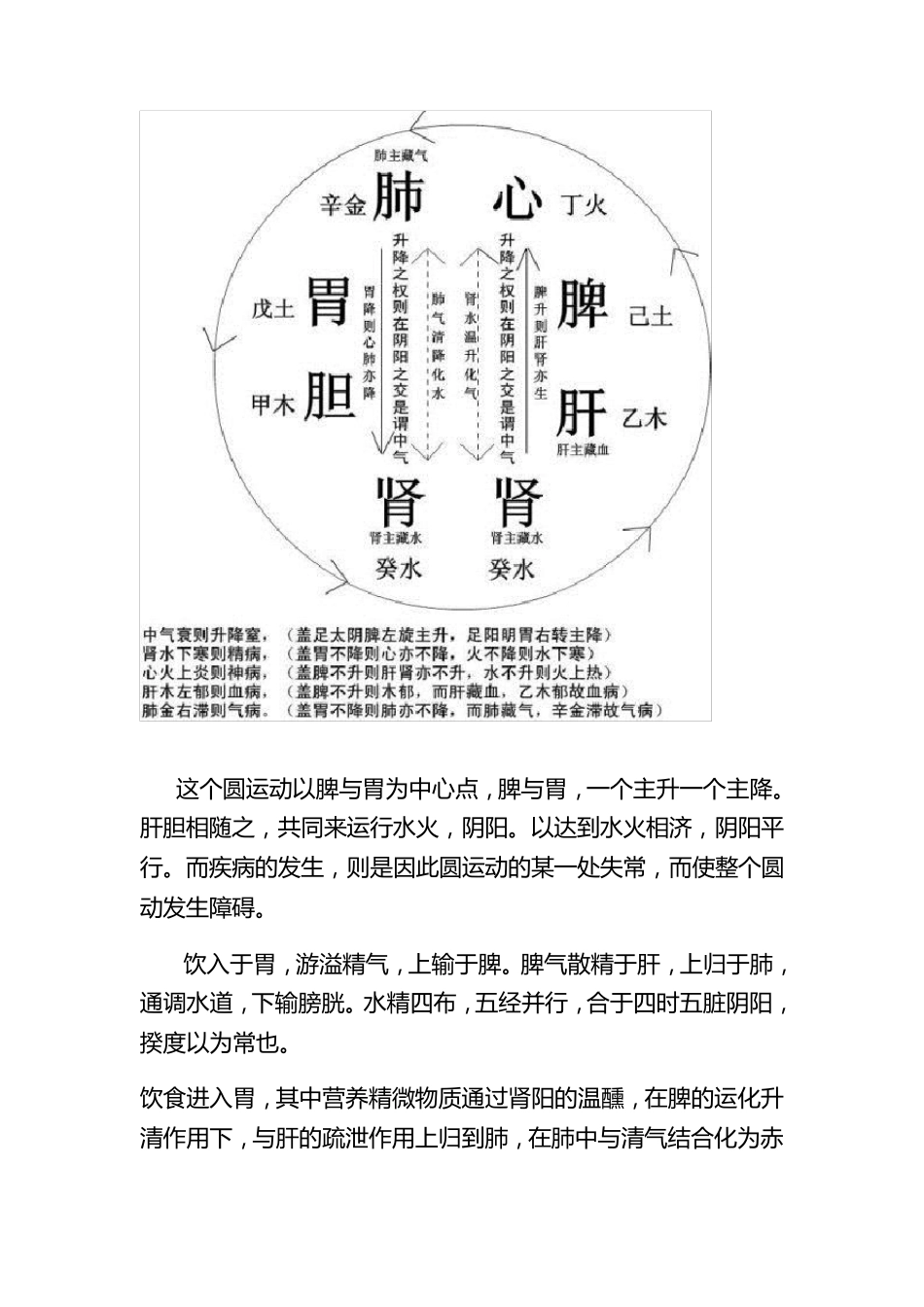 人体脏腑的气血运行图_第2页