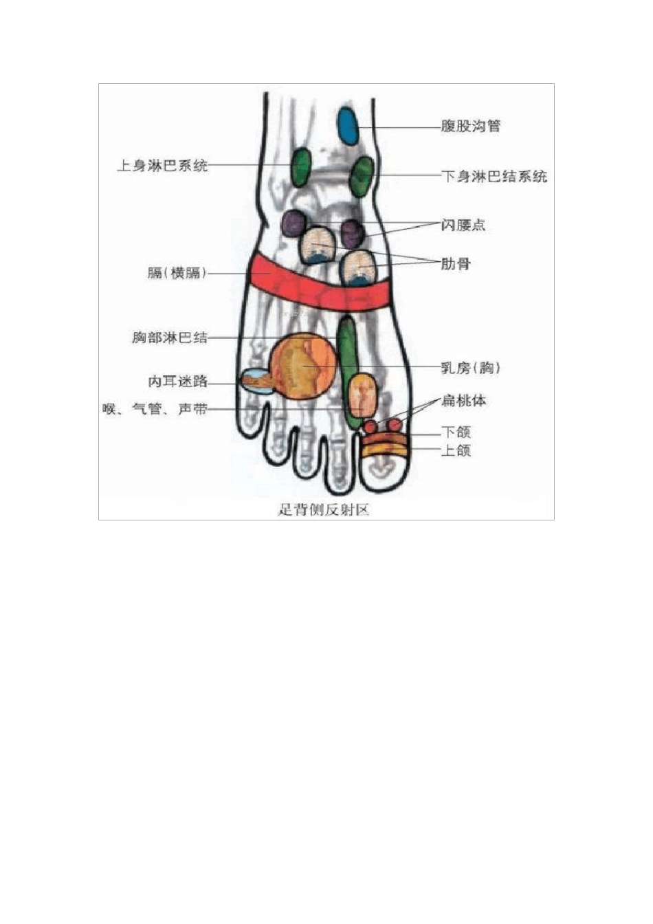 人体脚部穴位图+足疗口诀_第3页