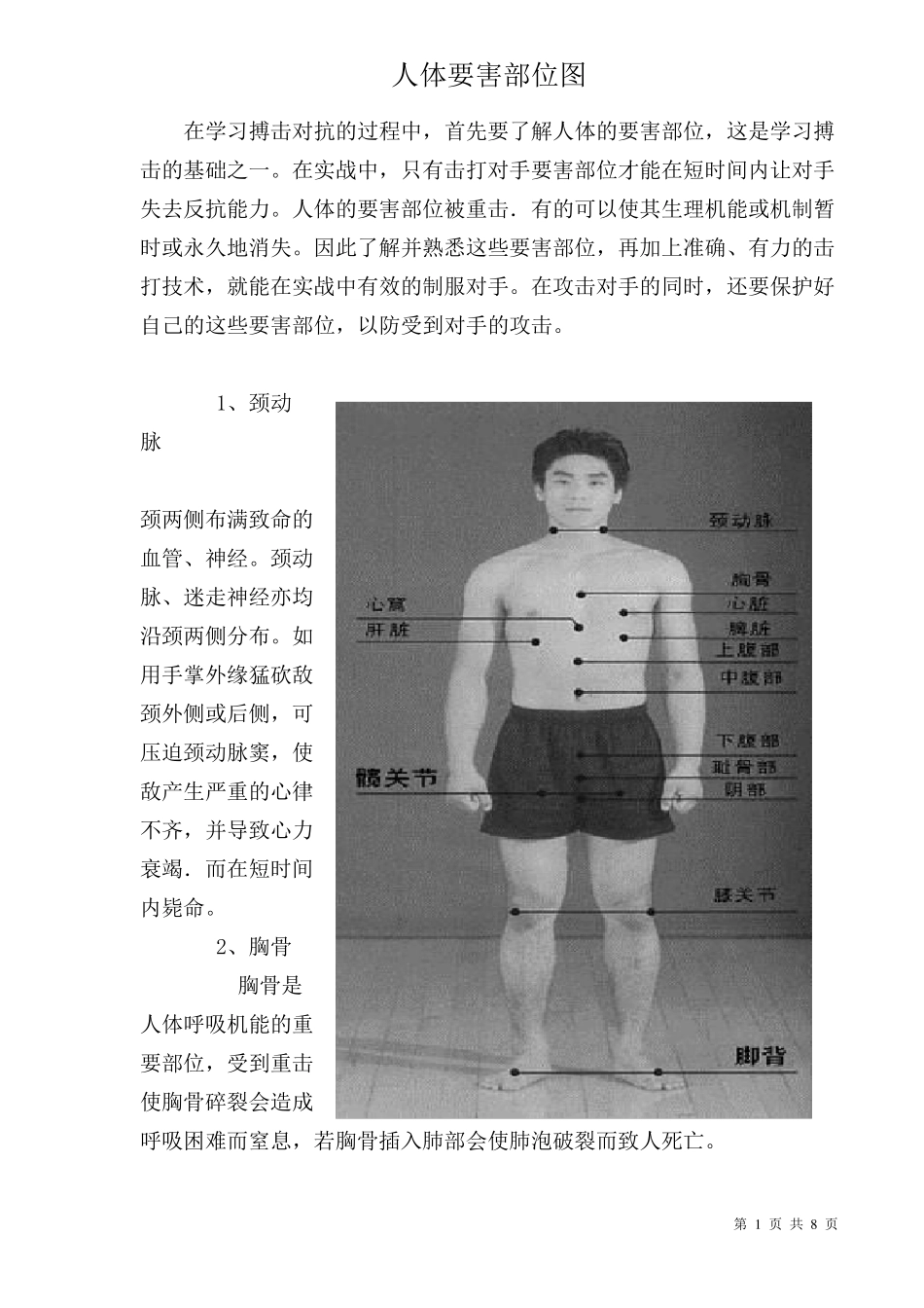 人体要害部位图解_第1页