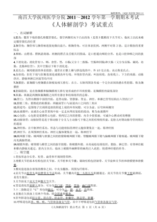 人体解剖学复习重点